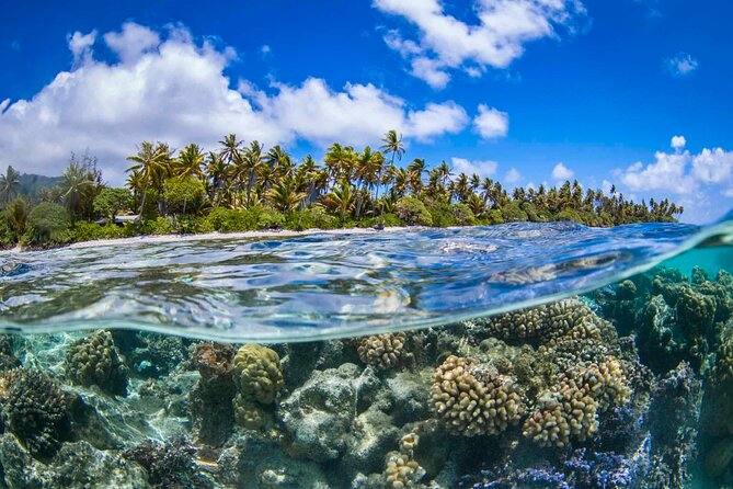 Apetahi day trip around Raiatea on a modern outrigger canoe - Key highlights you’ll care about