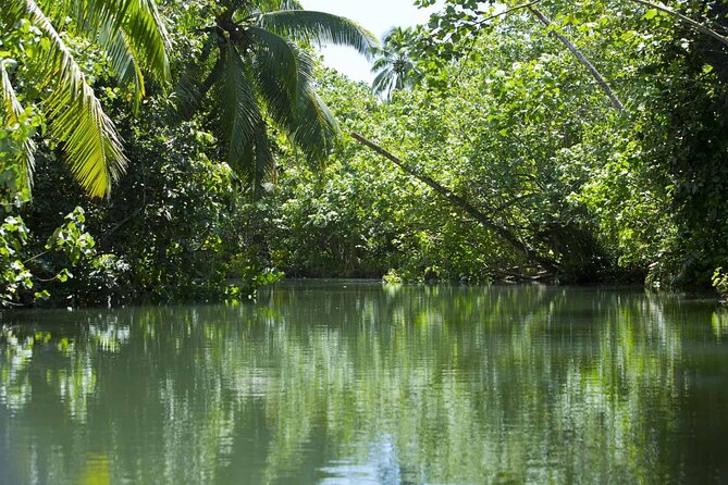 Apetahi day trip around Raiatea on a modern outrigger canoe - Dolphins and wildlife odds: what you can hope for