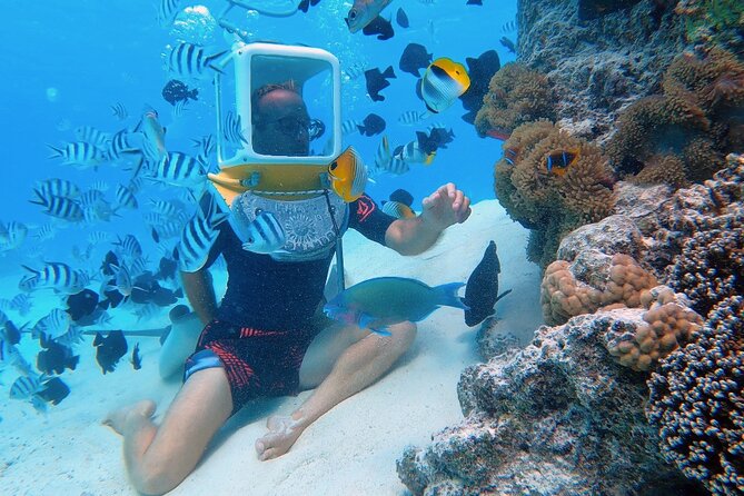 Aqua Safari Introductory Helmet Dive (Underwater Walk) - Key things to know before your helmet walk