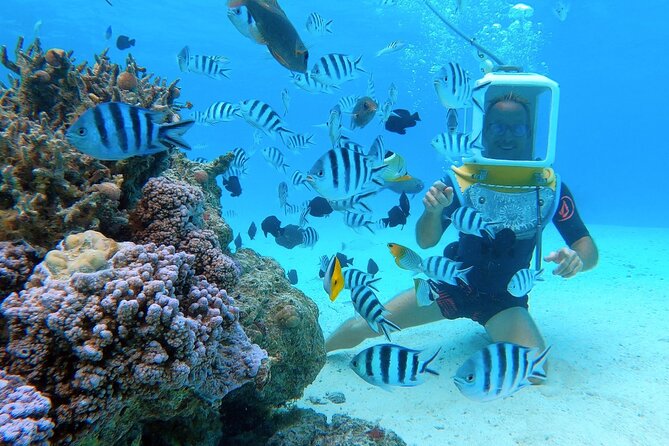 Aqua Safari Introductory Helmet Dive (Underwater Walk) - Why Bora Bora’s underwater helmet walk beats snorkeling