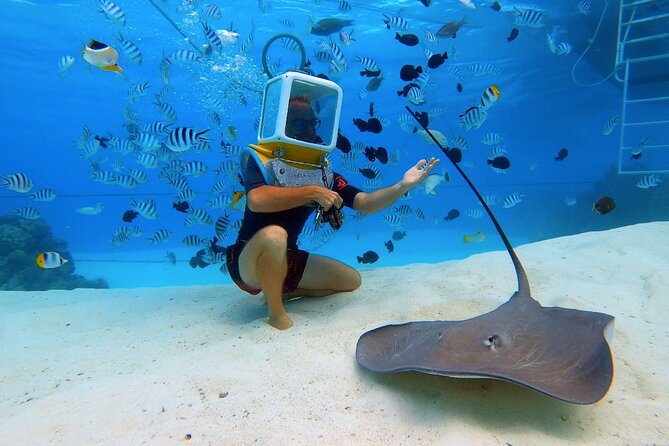 Aqua Safari Introductory Helmet Dive (Underwater Walk) - Inside the helmet: what the 30-minute underwater walk feels like