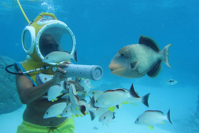 Aquablue Moorea - Photos and Video: What’s Offered and Why It’s Often Worth It