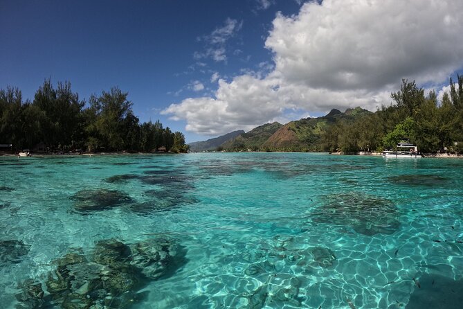 Aquablue Moorea - Weather, Small Group Limits, and Simple Planning Tips