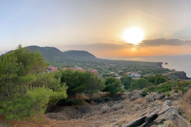 Archaeological excursion to the Rocca della Falconiera in Ustica - Key things you’ll notice on this Rocca della Falconiera tour