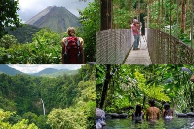 Arenal Best 4 Attractions Full Day Combo Incl. Lunch and Dinner - Stop 1: Arenal Hanging Bridges for Birds, Reptiles, and Big Views
