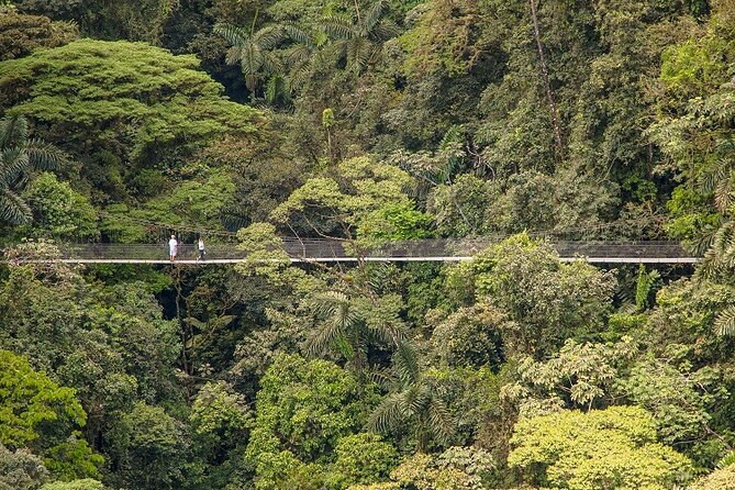 Arenal Best 4 Attractions Full Day Combo Incl. Lunch and Dinner - What to Bring (So You Don’t Waste Time Fussing Later)