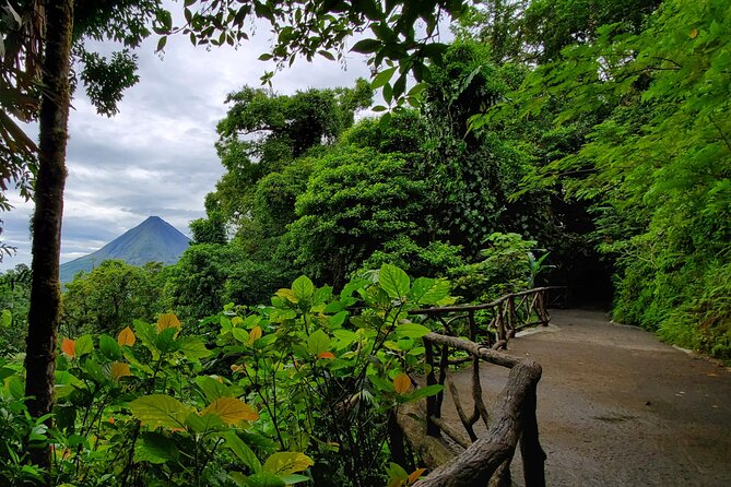 Arenal Full Day Tour - Stop 3: La Fortuna Waterfall Swim and Photo Time