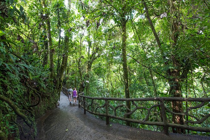 Arenal Hanging Bridges, Guided Walk, Hot Springs Optional - The walk itself: 2 miles, 16 hanging to 328 feet of bridge drama