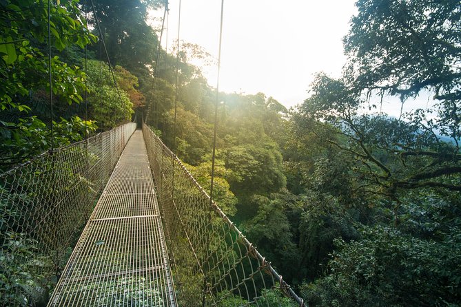 Arenal Hanging Bridges Hiking Tour - Enter Místico Park: The 15 Bridges and the Forest Layers They Show