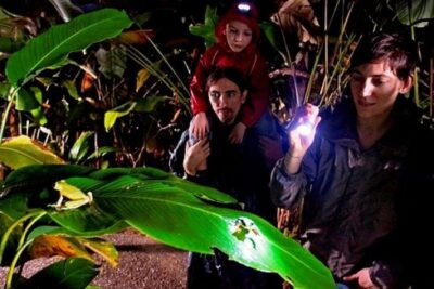 Arenal Oasis Night Walk from Arenal - The flat night walk: how spotting actually happens