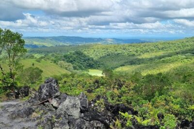 Arenal Volcano Guided Hiking Tour – Lava Trails & Rainforest - Wildlife Moments in the Rainforest: Sloth Sightings Are a Bonus
