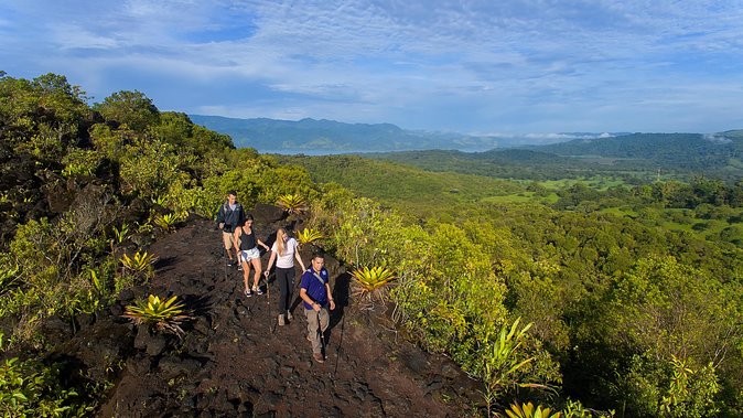 Arenal Volcano Hike Expedition with Optional Hot Springs - The hike itself: rainforest plants, birds, and the “look up” mission