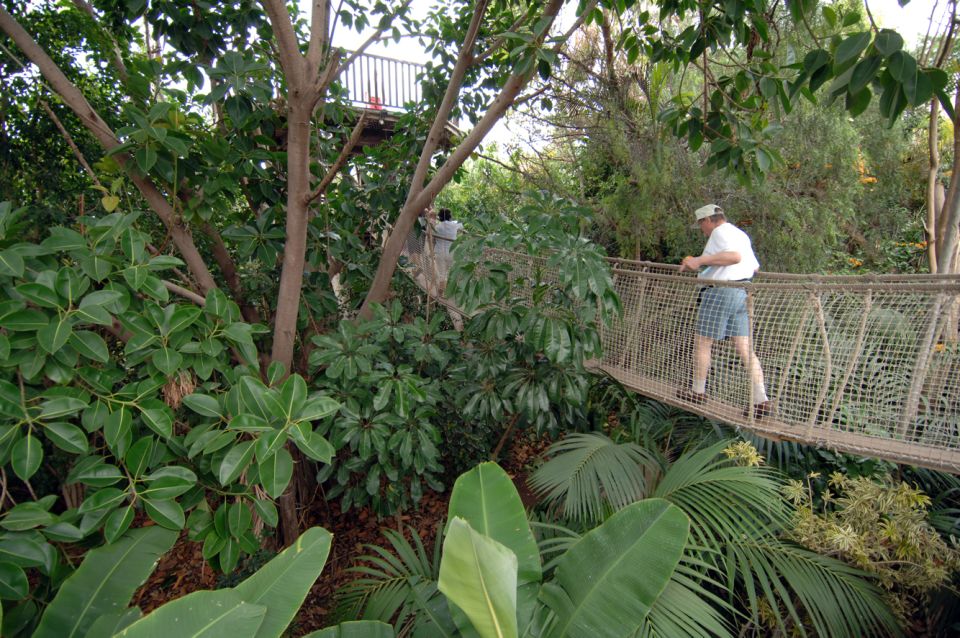 Arona: Entry Ticket to Tenerife's Jungle Park Zoo - Key Things You’ll Actually Notice