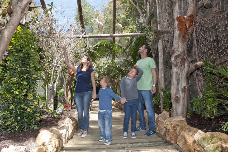 Arona: Entry Ticket to Tenerife's Jungle Park Zoo - Why This Jungle Park in Arona Feels More Real Than Most Zoos