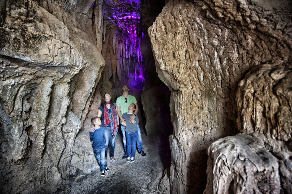 Arona: Entry Ticket to Tenerife's Jungle Park Zoo - Getting There Without Hotel Pickup: Costa Adeje Buses and Taxis