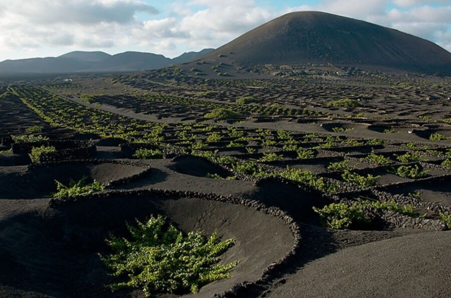 Arrecife/Playa Blanca: Timanfaya National Park Area Day Tour - Key Points You’ll Actually Care About