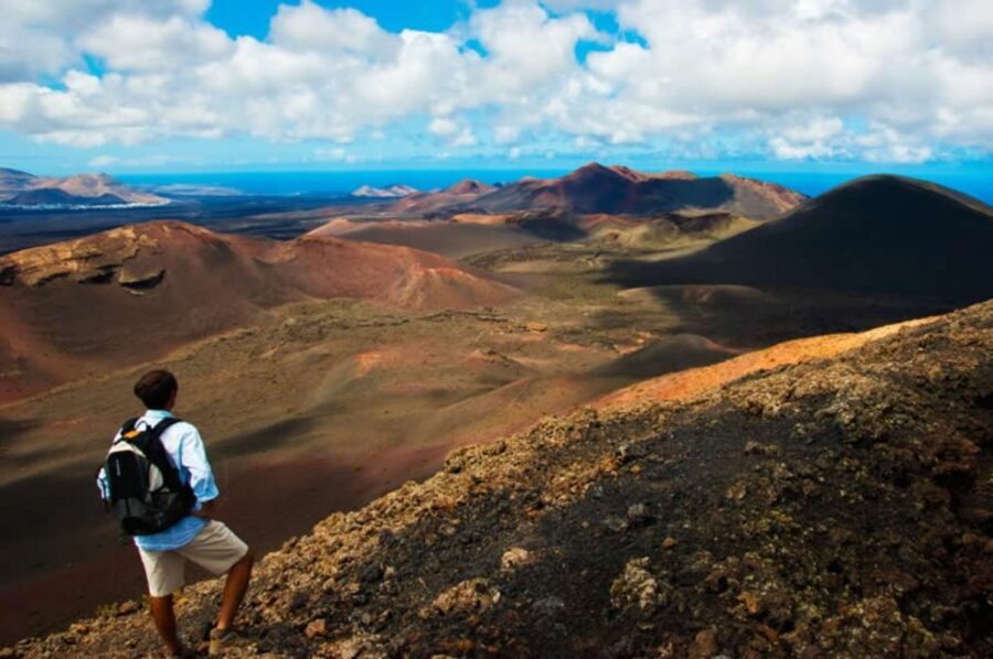 Arrecife/Playa Blanca: Timanfaya National Park Area Day Tour - Why Timanfaya by Coach Works Better Than DIY