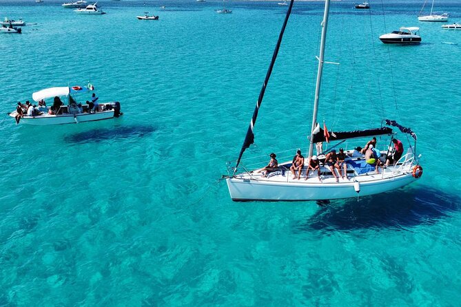 Asinara: Sailing trip in the park of Asinara - Key Highlights You’ll Actually Feel On the Day