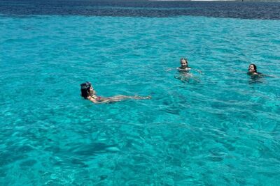 Asinara: Sailing trip in the park of Asinara - Snorkeling Stops Inside the Park: What to Expect Underwater