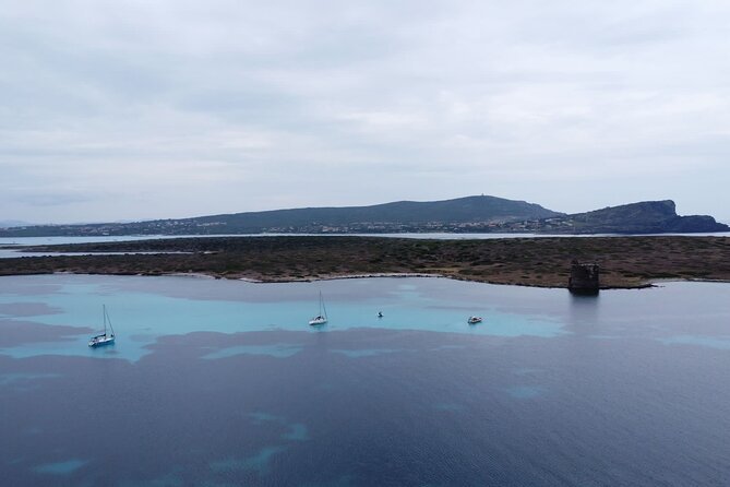 Asinara: Sailing trip in the park of Asinara - The One-Hour Descent to Land: Plan for a Little Switch in Rhythm
