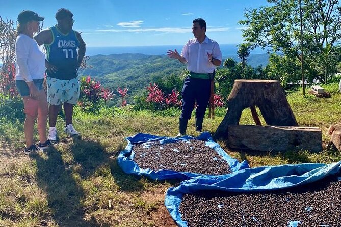 ATV Waterfall & Organic Coffee Farm with Lunch - Organic Lunch With Views Over Nosara’s Hills and Coast