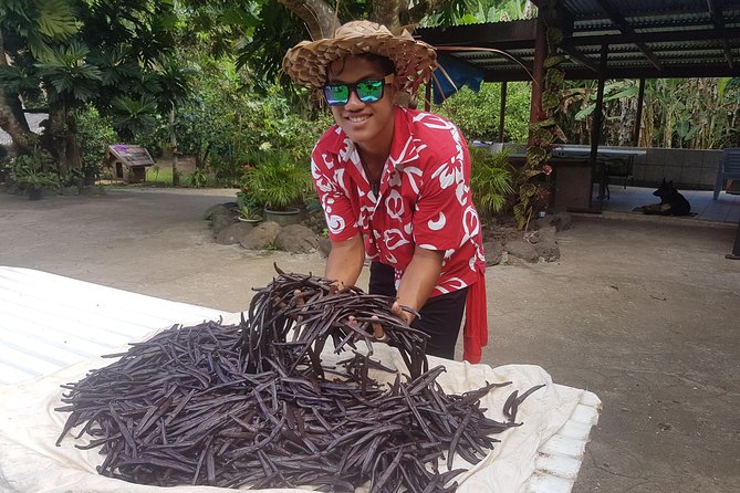 Authentic Polynesian Experience - Motu Lunch on White Sand: Food Served Where the Sea-Life Circles In