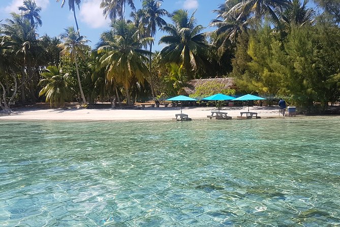 Authentic Polynesian Experience - The Guide Makes It: Tarzan’s Style and How the Day Stays Fun