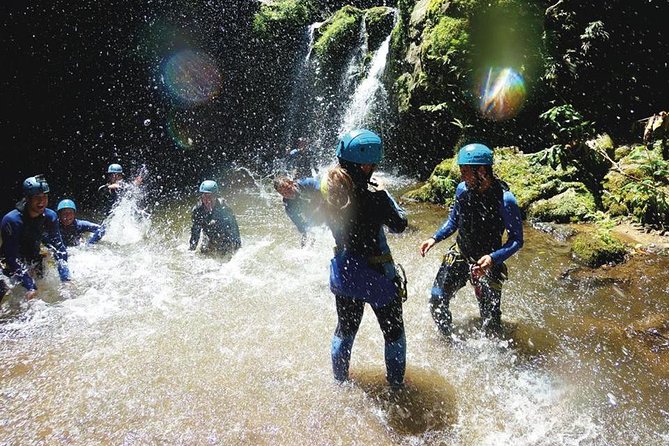 Azores Canyoning Adventure in São Miguel - Half-day - Stop-by-stop: how Picos de Aventura and the natural park fit together