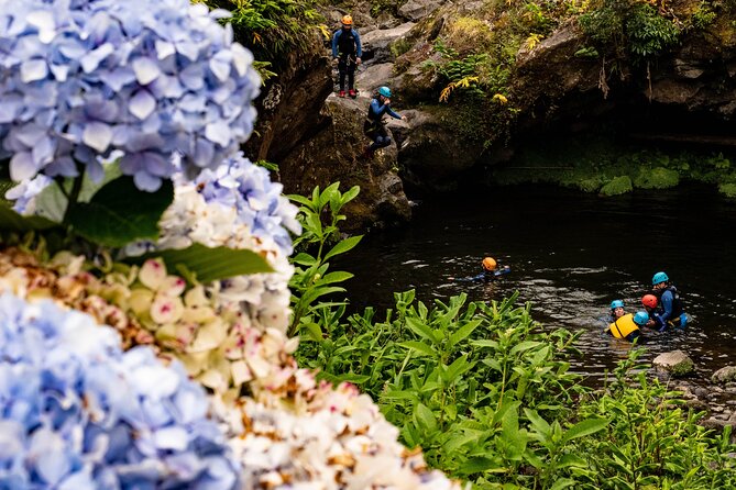 Azores Canyoning Adventure in São Miguel - Half-day - Price and value: what $78.61 buys you in real terms