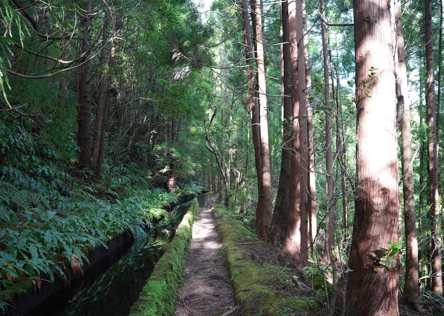 Azores: São Miguel and Lagoa do Fogo Hiking Trip - Why Lagoa do Fogo Feels Different Than a Typical Hike