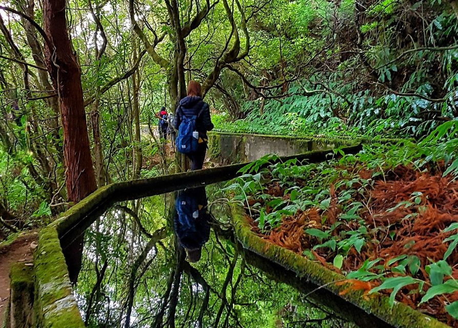 Azores: São Miguel and Lagoa do Fogo Hiking Trip - Price and Value: What $76 Buys You on São Miguel
