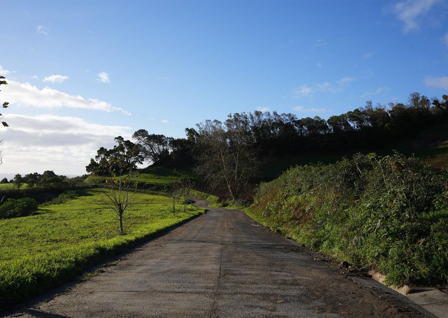 Azores: São Miguel and Lagoa do Fogo Hiking Trip - Getting There from Ponta Delgada: Pickup and a Tight Group