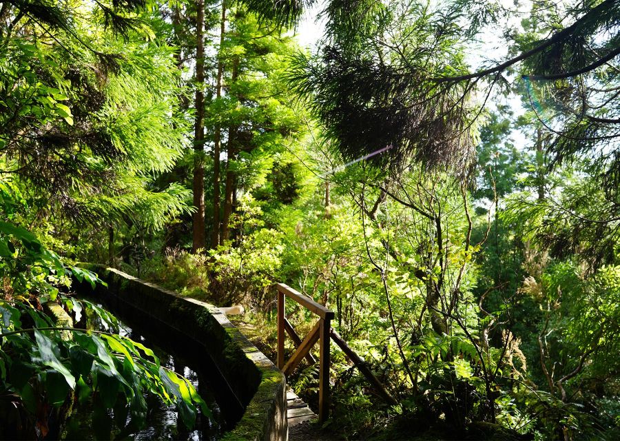 Azores: São Miguel and Lagoa do Fogo Hiking Trip - Reaching Lagoa do Fogo: Your Reward in a Protected Bowl