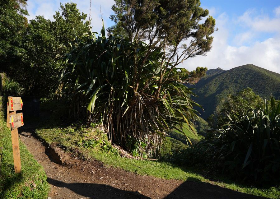 Azores: São Miguel and Lagoa do Fogo Hiking Trip - The Return Descent: Steep Steps, Hydrangeas, and South-Coast Views