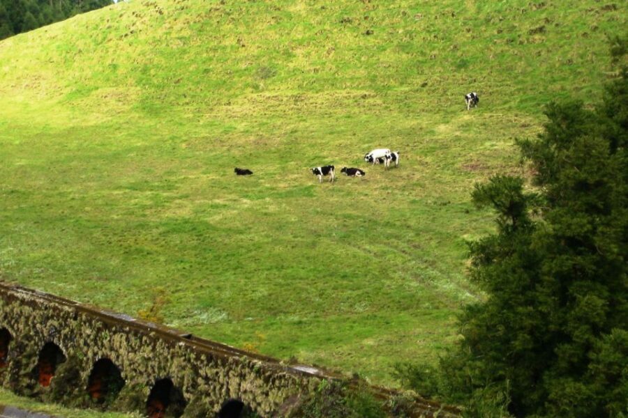 Azores: Sete Cidades Scenic Jeep Tour from Ponta Delgada - Sete Cidades crater area: twin lakes, volcanic edges, and village time