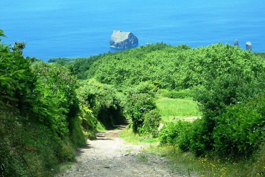 Azores: Sete Cidades Scenic Jeep Tour from Ponta Delgada - The off-road drive: fun, but plan for the bumps