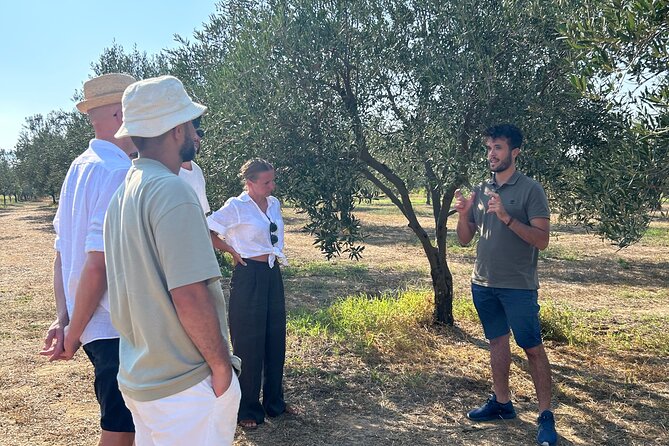 Balestrate Olive Grove Tour: Wine and Olive Oil Tasting - Entering the Olive Grove With Francesco, Not a Script