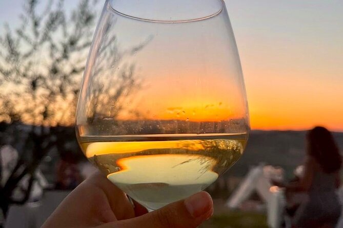 Balestrate Olive Grove Tour: Wine and Olive Oil Tasting - What to Expect From the Experience Style