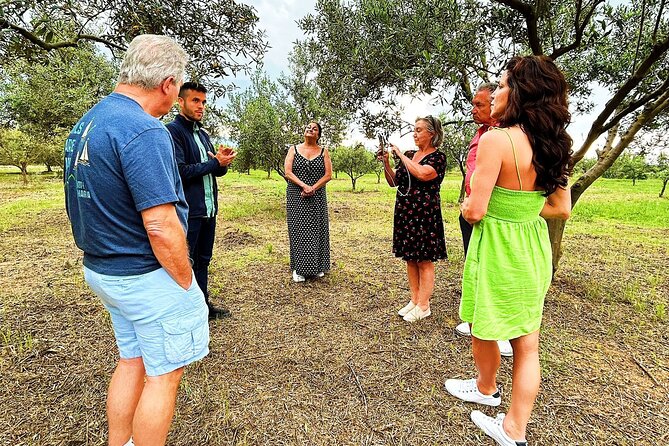 Balestrate Olive Grove Tour: Wine and Olive Oil Tasting - Who This Tour Fits Best (And Who Might Skip)