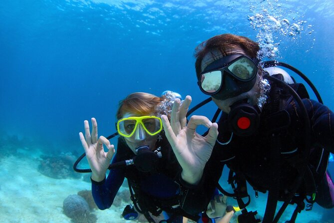 Baptism in the Northern Marine Reserve of Menorca - Key things to know before you go