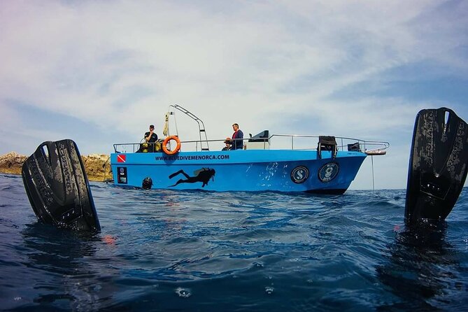 Baptism in the Northern Marine Reserve of Menorca - Underwater Gear and Instructor Guidance That Actually Helps