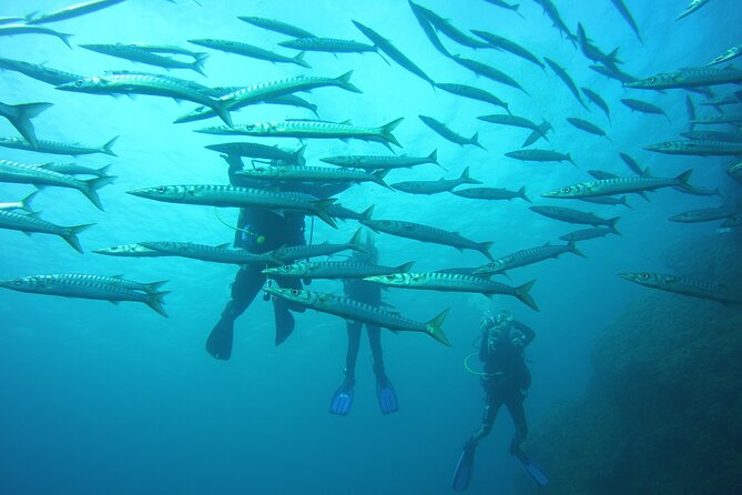 Baptism in the Northern Marine Reserve of Menorca - Reaching Better Underwater Sites Than You Can on Your Own