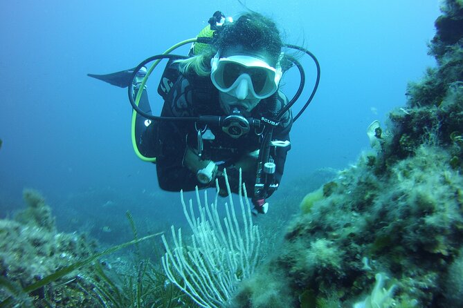Baptism in the Northern Marine Reserve of Menorca - Safety Rules You Should Treat Seriously (Especially Before You Arrive)