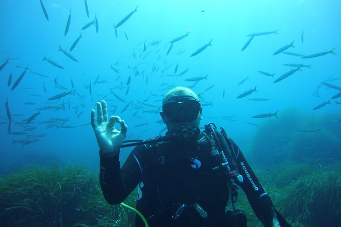 Baptism in the Northern Marine Reserve of Menorca - Who This Is For: Some Experience Helps, But You’re Not Thrown In