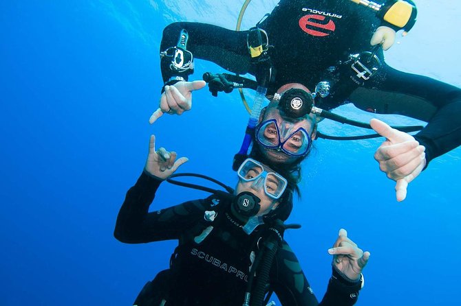 Basic Diver course for beginners with 1 dive in the Ocean - Key highlights worth your attention