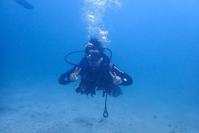 Basic Diver course for beginners with 1 dive in the Ocean - Getting to GooDiving without stress (and why transfers matter)