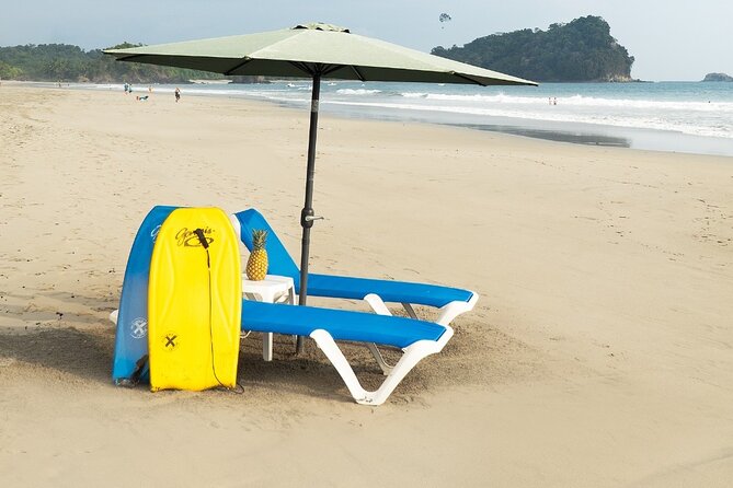 Beach Day Experience in Manuel Antonio - Wildlife near Manuel Antonio: monkeys and birds you don’t have to chase