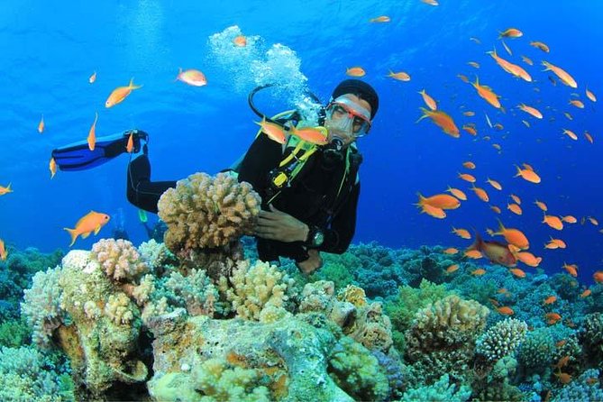 Beginners Scuba Diving Experience in Gran Canaria - Key Highlights That Matter