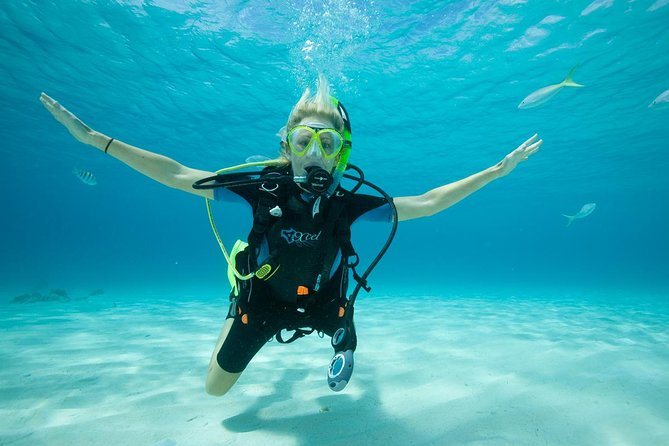 Beginners Scuba Diving Experience in Gran Canaria - What This Beginner Underwater Experience in Gran Canaria Really Gives You