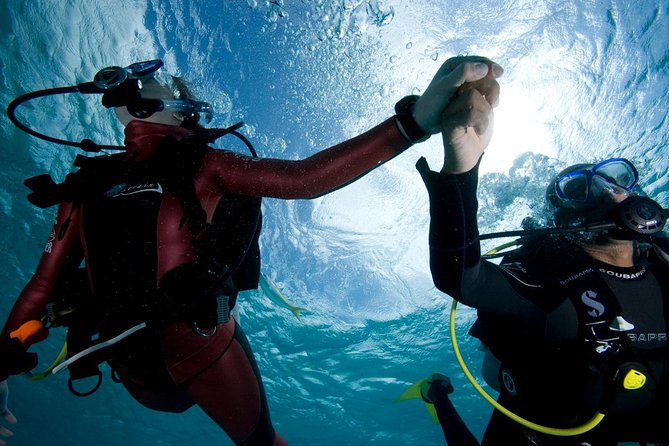 Beginners Scuba Diving Experience in Gran Canaria - Gear, Paperwork, and the Quick Reality Check Before You Go Under